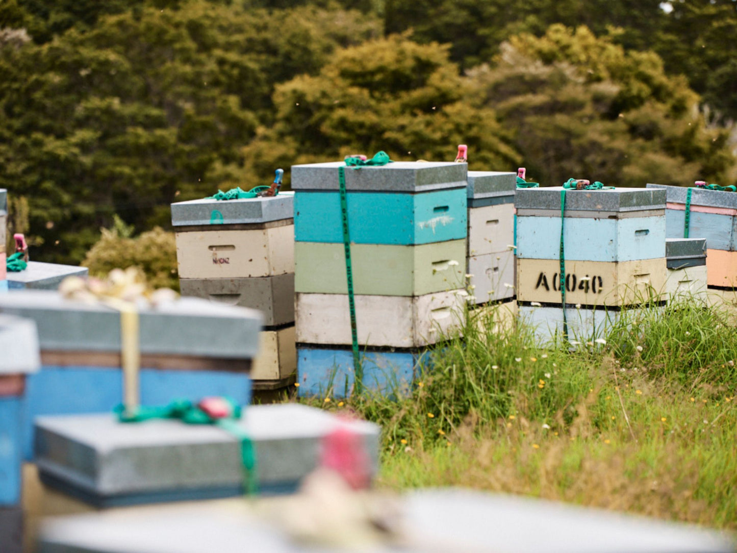 Danbri Farm Honey